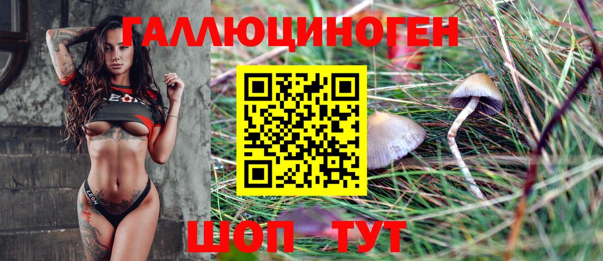 Галлюциногенные грибы Magic Shrooms  Вход с VPN  Ярцево 