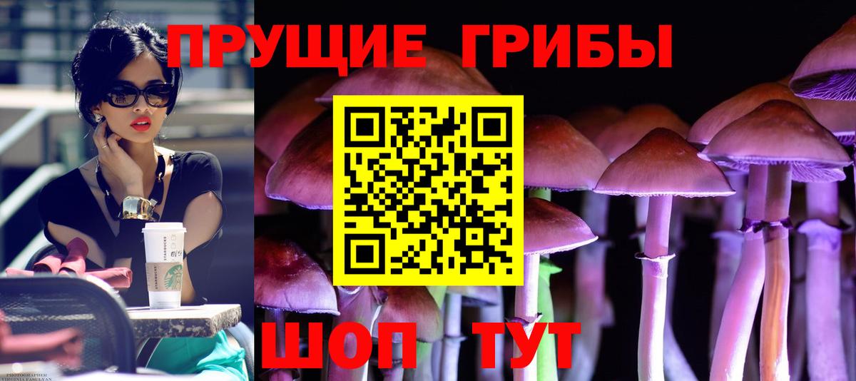 Псилоцибиновые грибы мицелий Ярцево